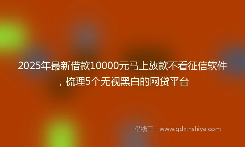 2025年最新借款10000元马上放款不看征信软件，梳理5个无视黑白的网贷平台