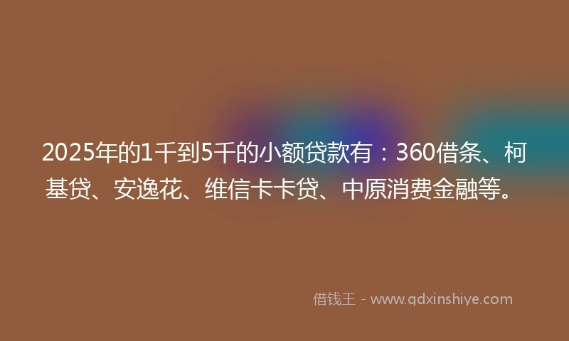 2025年的1千到5千的小额贷款有：360借条、柯基贷、安逸花、维信卡卡贷、中原消费金融等。