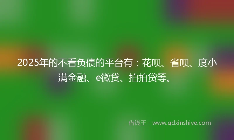 2025年的不看负债的平台有：花呗、省呗、度小满金融、e微贷、拍拍贷等。