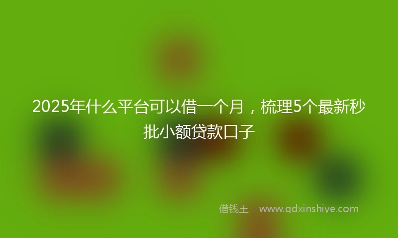 2025年什么平台可以借一个月，梳理5个最新秒批小额贷款口子