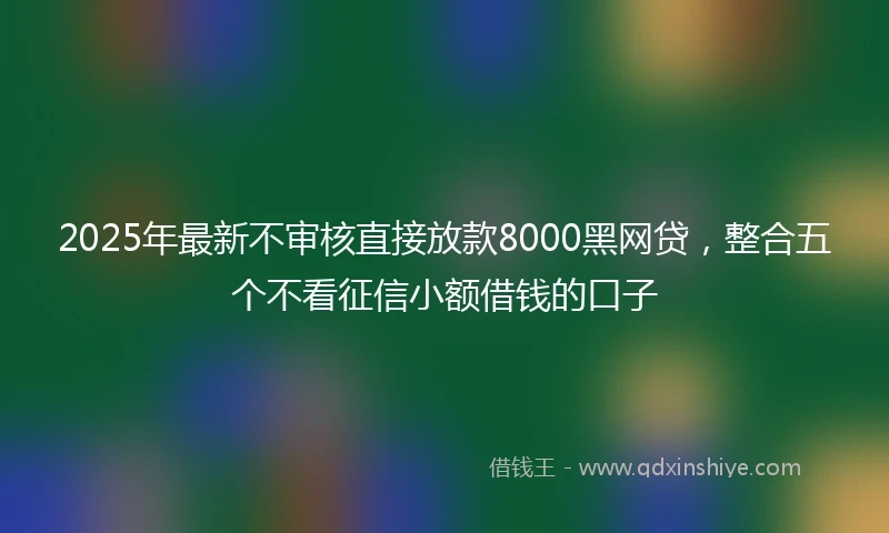 2025年最新不审核直接放款8000黑网贷，整合五个不看征信小额借钱的口子