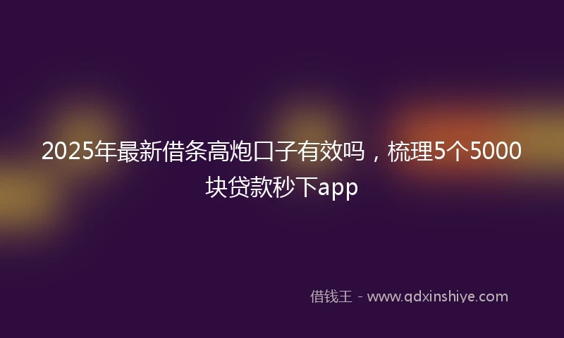 2025年最新借条高炮口子有效吗，梳理5个5000块贷款秒下app
