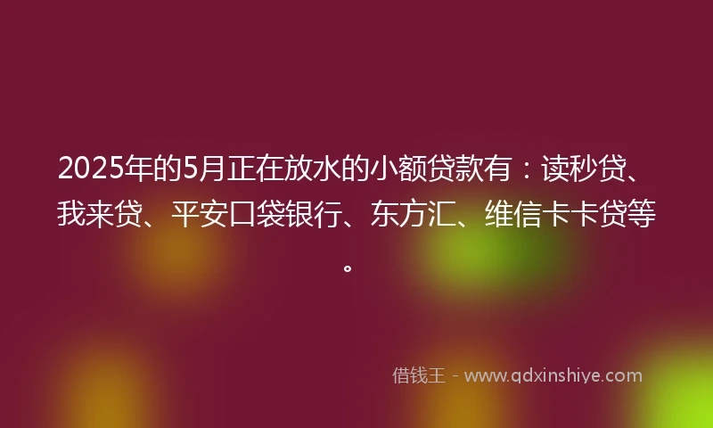 2025年的5月正在放水的小额贷款有：读秒贷、我来贷、平安口袋银行、东方汇、维信卡卡贷等。