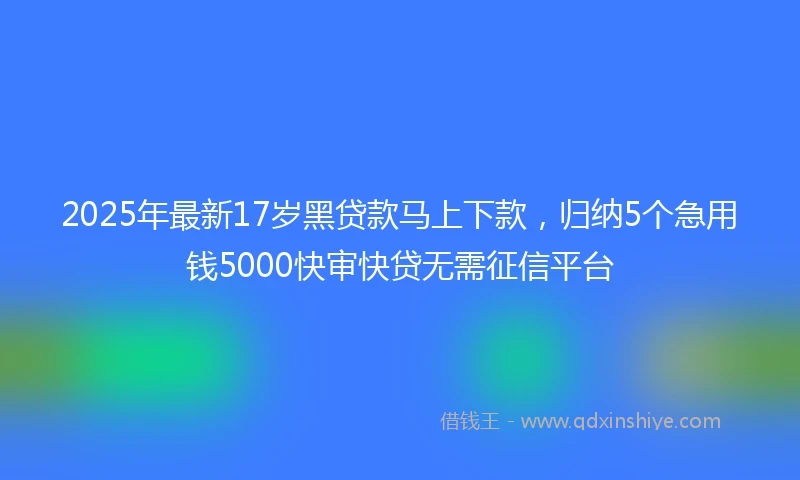 2025年最新17岁黑贷款马上下款，归纳5个急用钱5000快审快贷无需征信平台