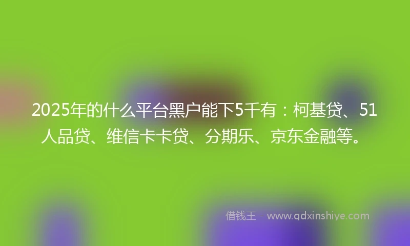 2025年的什么平台黑户能下5千有：柯基贷、51人品贷、维信卡卡贷、分期乐、京东金融等。
