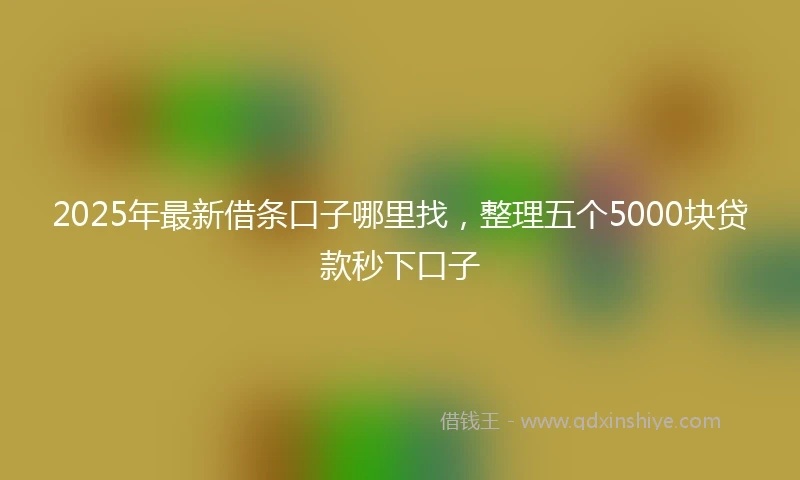 2025年最新借条口子哪里找，整理五个5000块贷款秒下口子