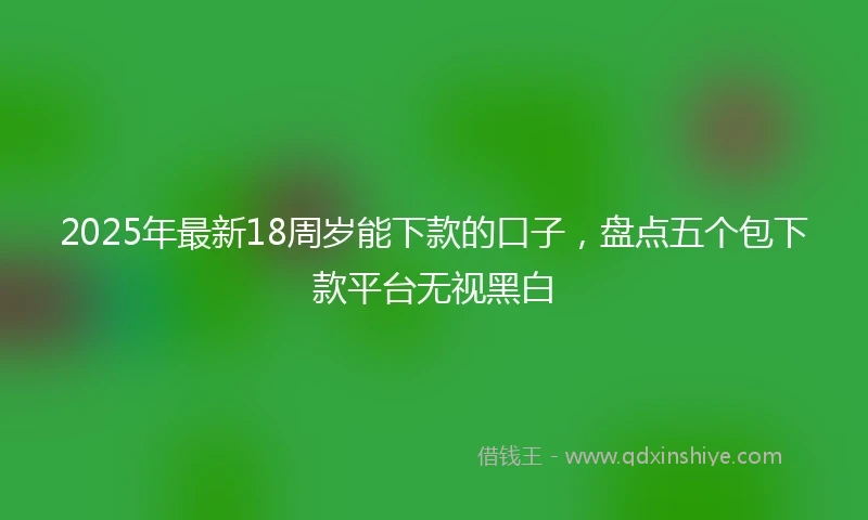 2025年最新18周岁能下款的口子，盘点五个包下款平台无视黑白