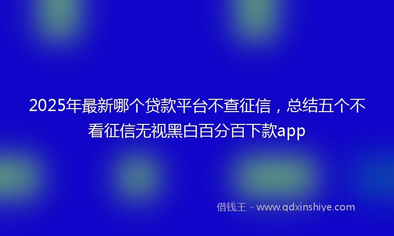 2025年最新哪个贷款平台不查征信，总结五个不看征信无视黑白百分百下款app