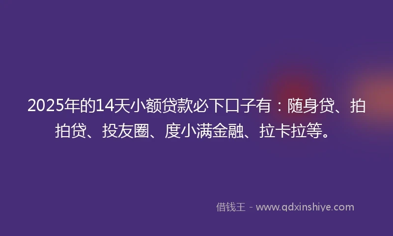 2025年的14天小额贷款必下口子有：随身贷、拍拍贷、投友圈、度小满金融、拉卡拉等。