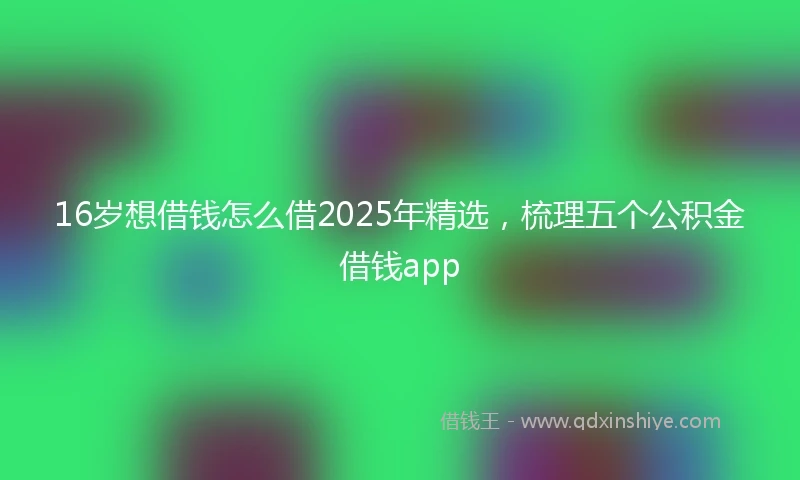 16岁想借钱怎么借2025年精选，梳理五个公积金借钱app