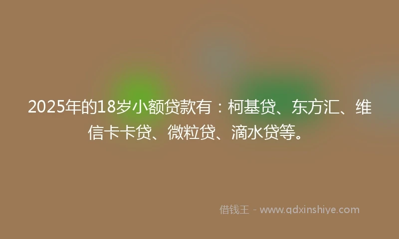 2025年的18岁小额贷款有：柯基贷、东方汇、维信卡卡贷、微粒贷、滴水贷等。