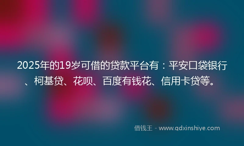 2025年的19岁可借的贷款平台有：平安口袋银行、柯基贷、花呗、百度有钱花、信用卡贷等。