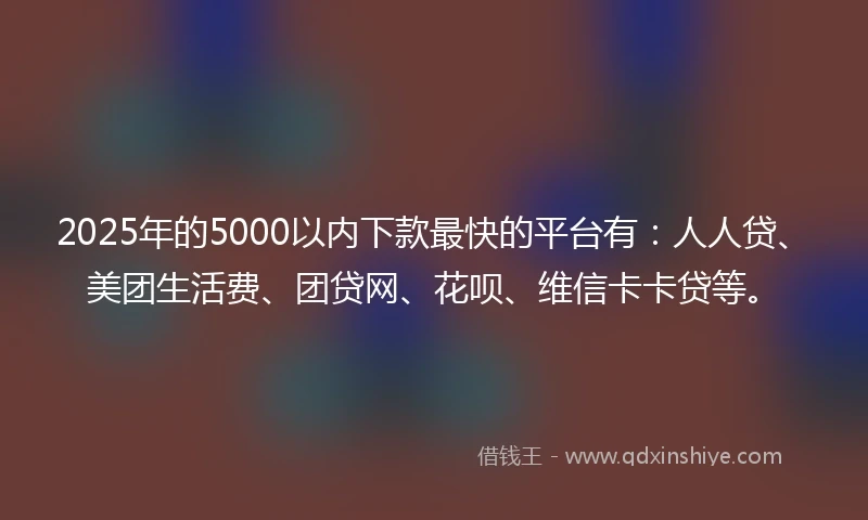 2025年的5000以内下款最快的平台有：人人贷、美团生活费、团贷网、花呗、维信卡卡贷等。