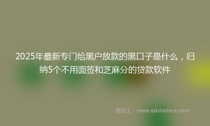 2025年最新专门给黑户放款的黑口子是什么，归纳5个不用面签和芝麻分的贷款软件