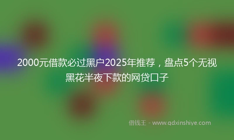 2000元借款必过黑户2025年推荐，盘点5个无视黑花半夜下款的网贷口子