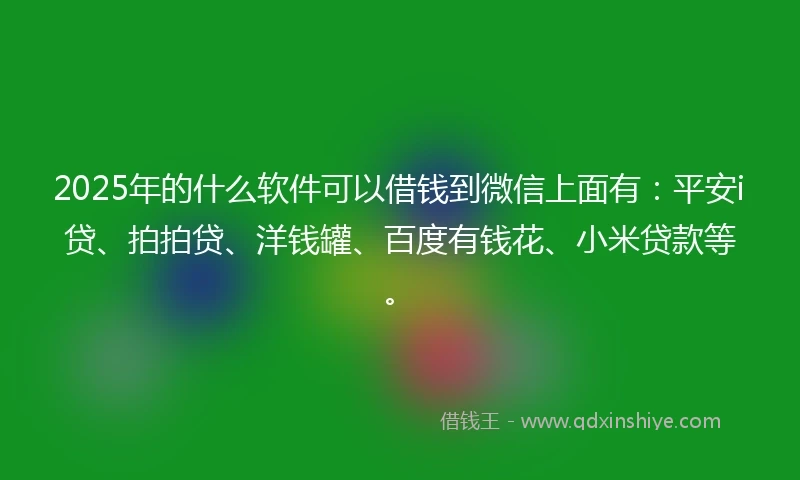 2025年的什么软件可以借钱到微信上面有：平安i贷、拍拍贷、洋钱罐、百度有钱花、小米贷款等。