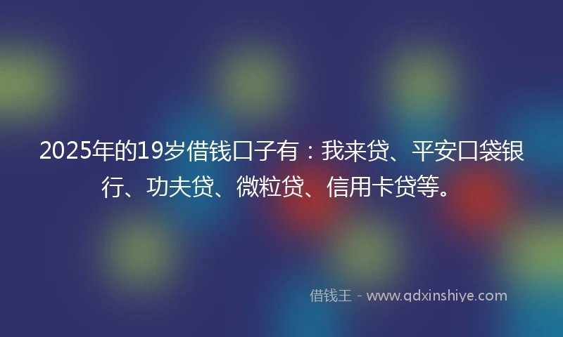 2025年的19岁借钱口子有：我来贷、平安口袋银行、功夫贷、微粒贷、信用卡贷等。