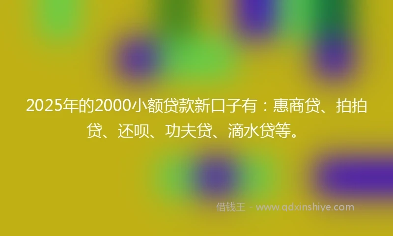 2025年的2000小额贷款新口子有：惠商贷、拍拍贷、还呗、功夫贷、滴水贷等。
