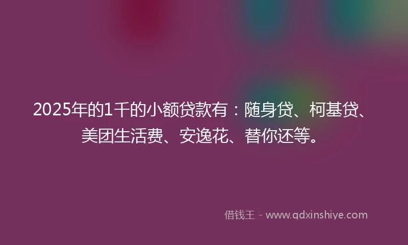 2025年的1千的小额贷款有：随身贷、柯基贷、美团生活费、安逸花、替你还等。