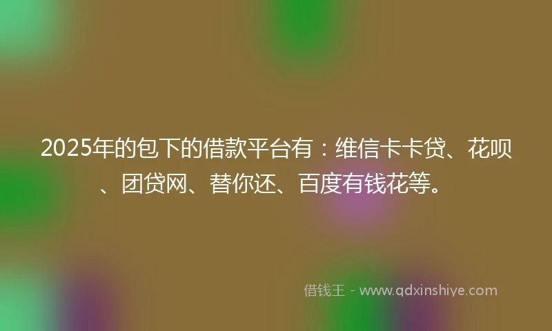2025年的包下的借款平台有：维信卡卡贷、花呗、团贷网、替你还、百度有钱花等。