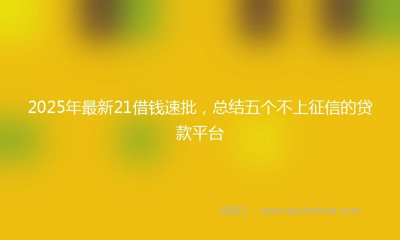 2025年最新21借钱速批，总结五个不上征信的贷款平台