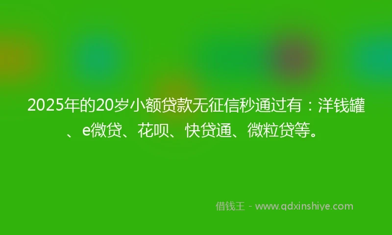 2025年的20岁小额贷款无征信秒通过有：洋钱罐、e微贷、花呗、快贷通、微粒贷等。