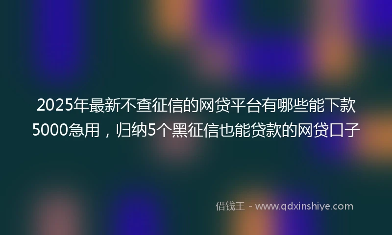 2025年最新不查征信的网贷平台有哪些能下款5000急用，归纳5个黑征信也能贷款的网贷口子
