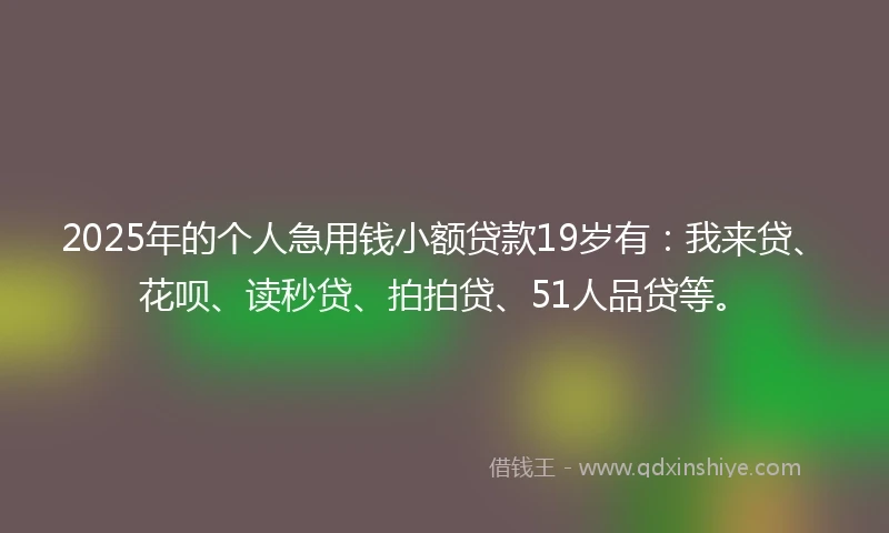 2025年的个人急用钱小额贷款19岁有：我来贷、花呗、读秒贷、拍拍贷、51人品贷等。