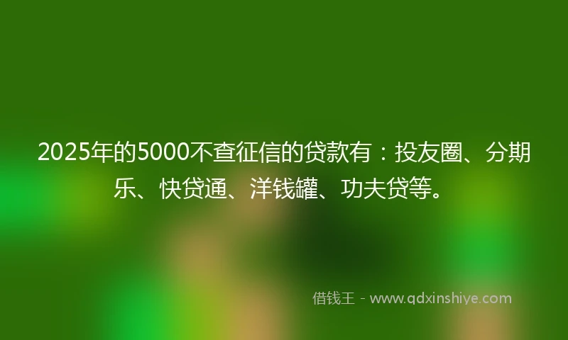 2025年的5000不查征信的贷款有：投友圈、分期乐、快贷通、洋钱罐、功夫贷等。