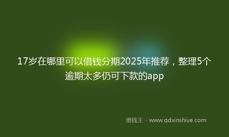 17岁在哪里可以借钱分期2025年推荐，整理5个逾期太多仍可下款的app