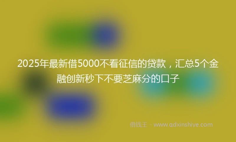 2025年最新借5000不看征信的贷款，汇总5个金融创新秒下不要芝麻分的口子