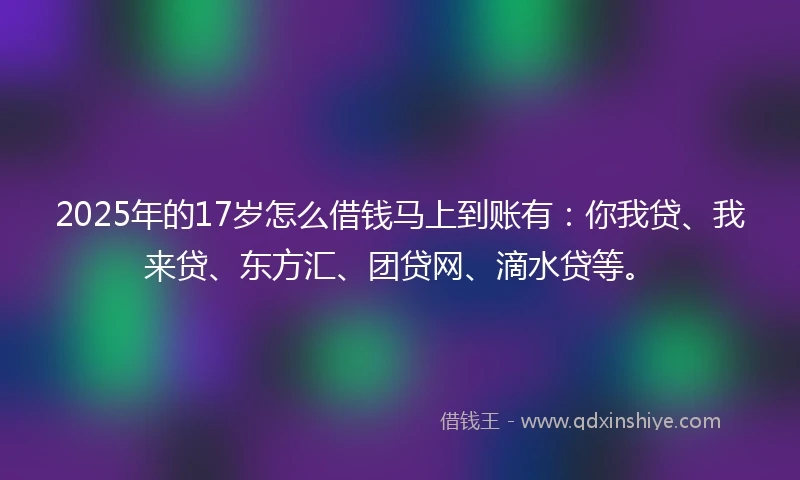 2025年的17岁怎么借钱马上到账有：你我贷、我来贷、东方汇、团贷网、滴水贷等。