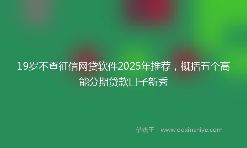 19岁不查征信网贷软件2025年推荐，概括五个高能分期贷款口子新秀
