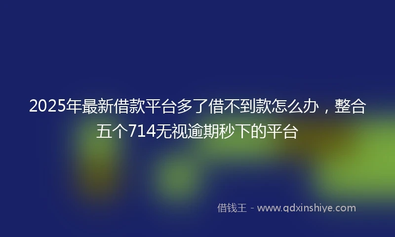 2025年最新借款平台多了借不到款怎么办，整合五个714无视逾期秒下的平台
