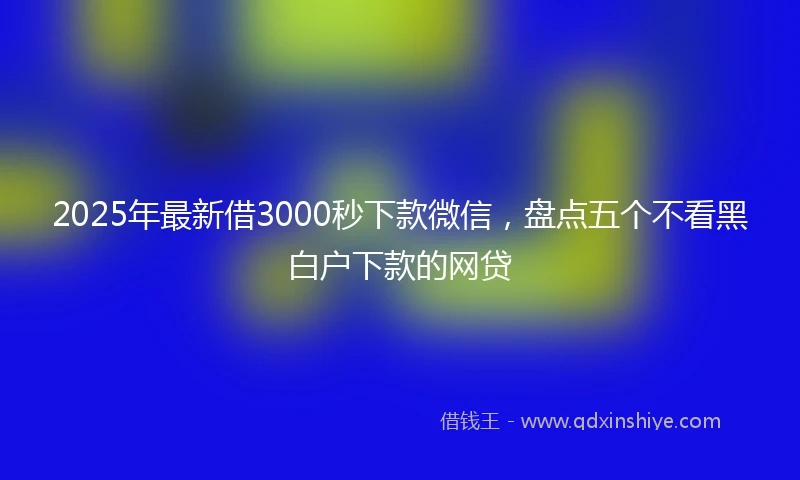 2025年最新借3000秒下款微信，盘点五个不看黑白户下款的网贷