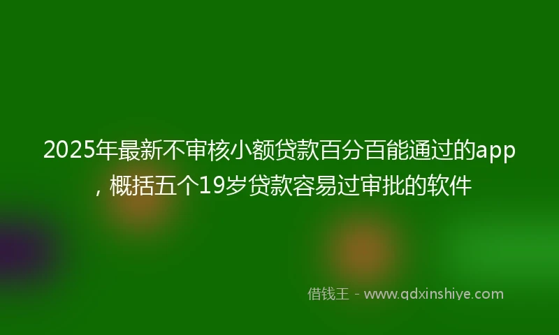 2025年最新不审核小额贷款百分百能通过的app，概括五个19岁贷款容易过审批的软件