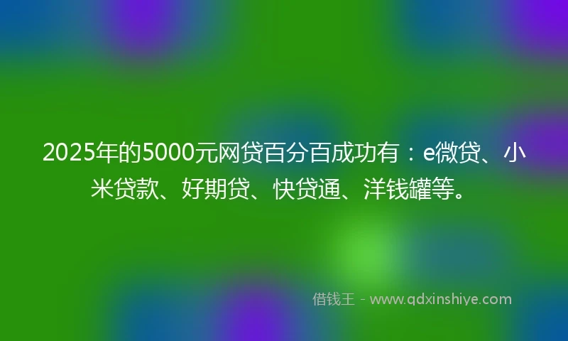 2025年的5000元网贷百分百成功有：e微贷、小米贷款、好期贷、快贷通、洋钱罐等。