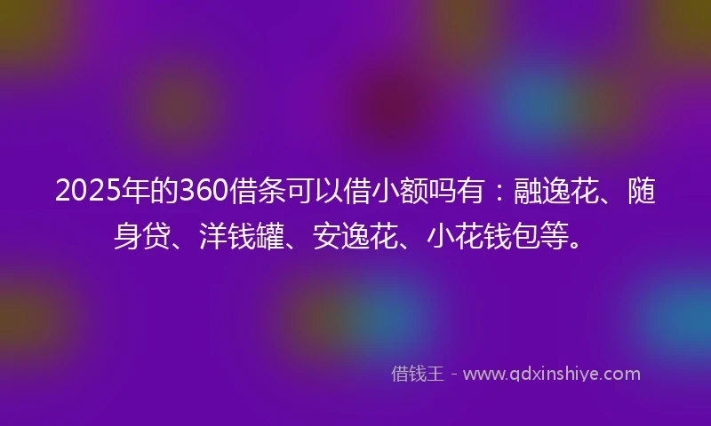 2025年的360借条可以借小额吗有：融逸花、随身贷、洋钱罐、安逸花、小花钱包等。