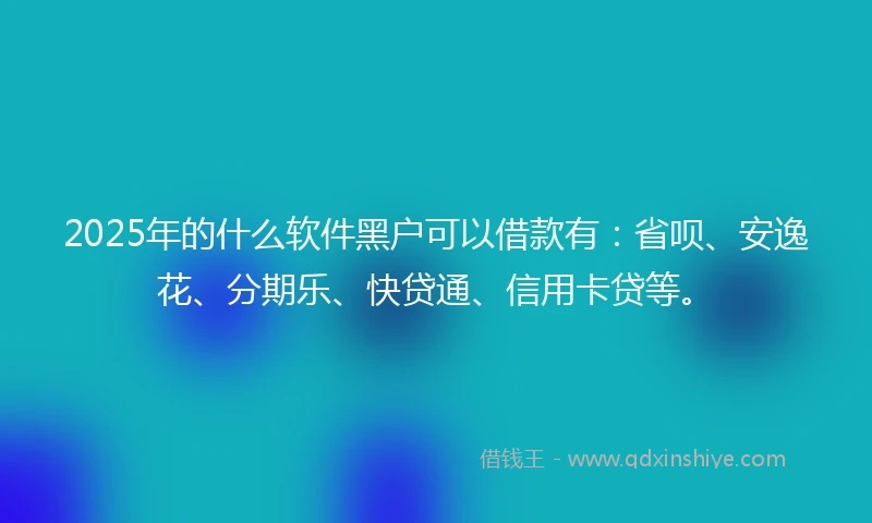 2025年的什么软件黑户可以借款有：省呗、安逸花、分期乐、快贷通、信用卡贷等。