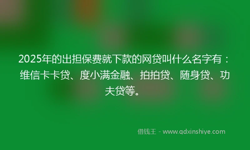2025年的出担保费就下款的网贷叫什么名字有：维信卡卡贷、度小满金融、拍拍贷、随身贷、功夫贷等。