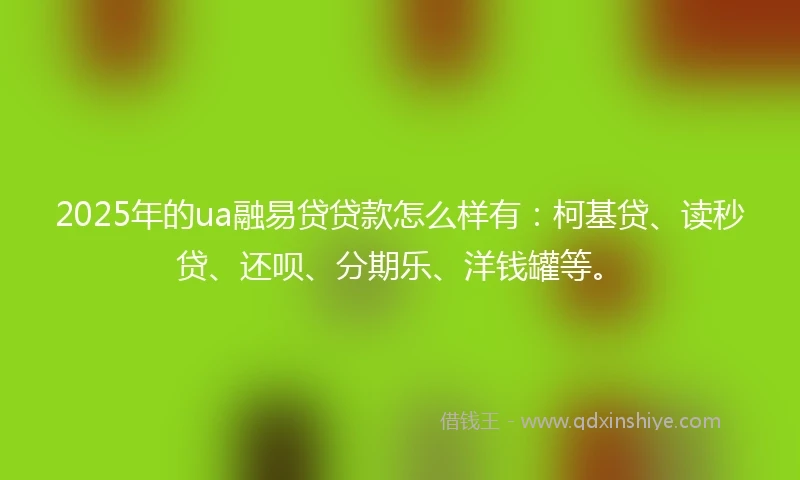 2025年的ua融易贷贷款怎么样有：柯基贷、读秒贷、还呗、分期乐、洋钱罐等。