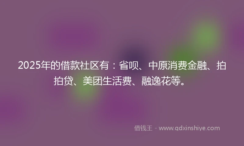 2025年的借款社区有：省呗、中原消费金融、拍拍贷、美团生活费、融逸花等。