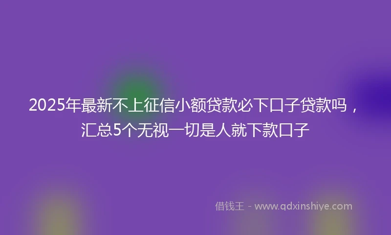 2025年最新不上征信小额贷款必下口子贷款吗，汇总5个无视一切是人就下款口子