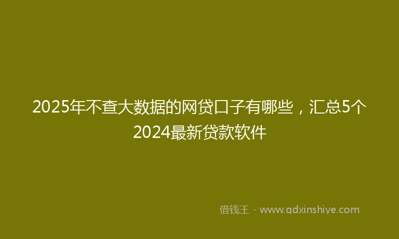 2025年不查大数据的网贷口子有哪些，汇总5个2024最新贷款软件