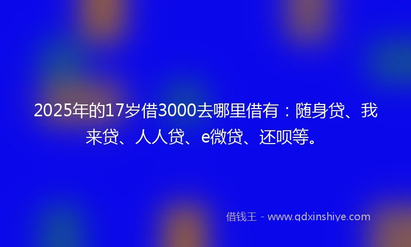 2025年的17岁借3000去哪里借有：随身贷、我来贷、人人贷、e微贷、还呗等。