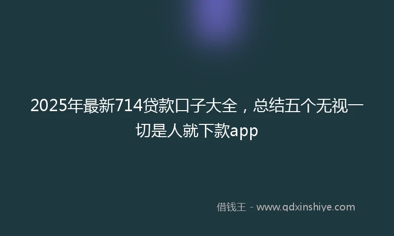 2025年最新714贷款口子大全，总结五个无视一切是人就下款app