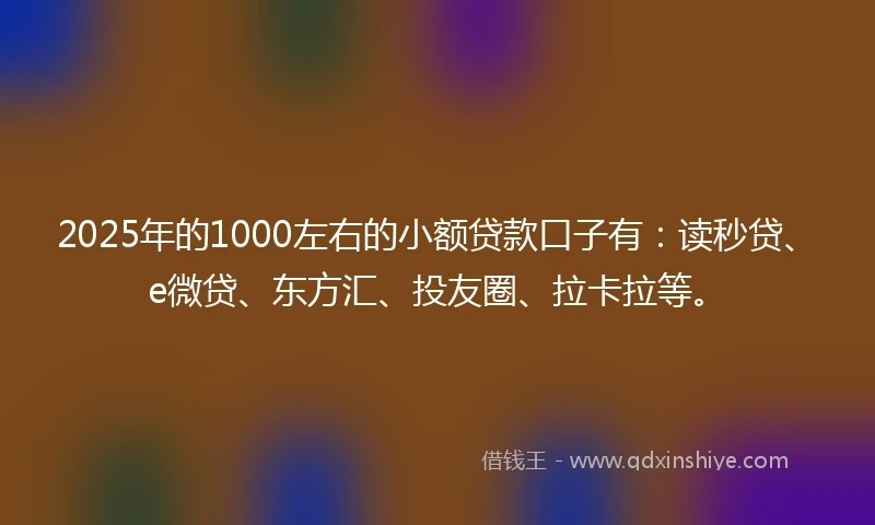 2025年的1000左右的小额贷款口子有：读秒贷、e微贷、东方汇、投友圈、拉卡拉等。