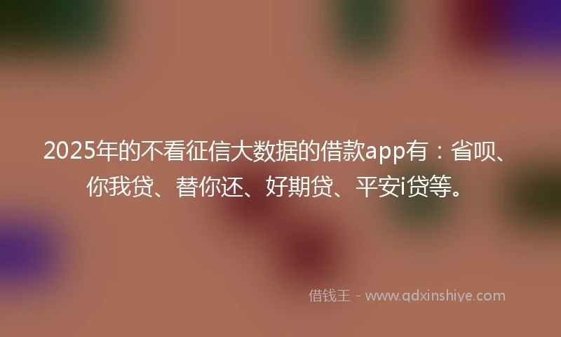 2025年的不看征信大数据的借款app有：省呗、你我贷、替你还、好期贷、平安i贷等。
