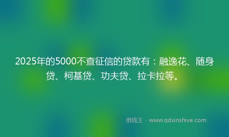 2025年的5000不查征信的贷款有：融逸花、随身贷、柯基贷、功夫贷、拉卡拉等。