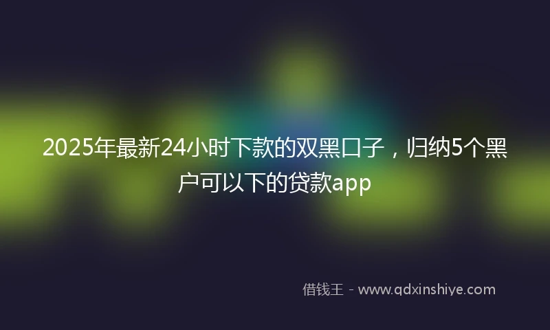 2025年最新24小时下款的双黑口子，归纳5个黑户可以下的贷款app